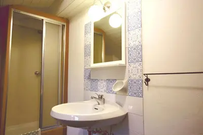 a bathroom with a sink and a shower and a mirror at Finhäusl in Aldino