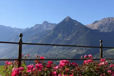 a view of mountains from a fence with pink flowers at B & B Gurterhof in Schenna