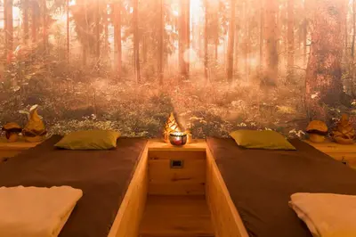 two beds in a room with a forest at Hotel Jägerheim 3S in Selva di Val Gardena