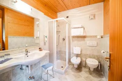 a bathroom with a sink and a toilet and a shower at Hotel Salvan in Campitello di Fassa
