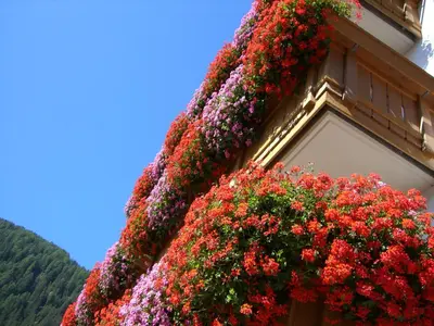 a building with flowers on the side of it at B&B Hotel Alpenrose Rooms & Apartments in Valles