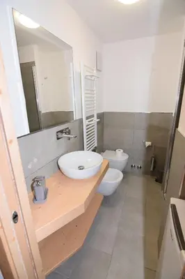 a bathroom with a sink and a toilet and a mirror at Cësa Valeria e Cësa Giulio in Campitello di Fassa