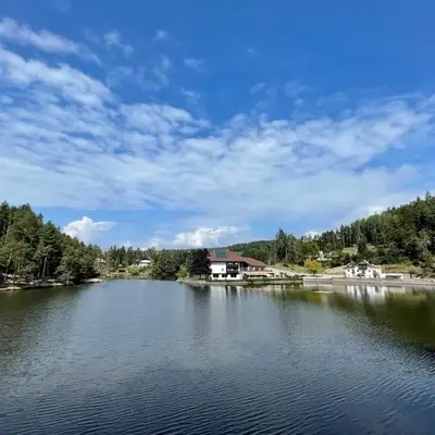 Hotel Am Wolfgrubenersee
