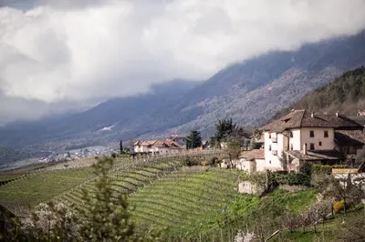 a village on a hill with a vineyard and houses at Hotel Masatsch in Caldaro