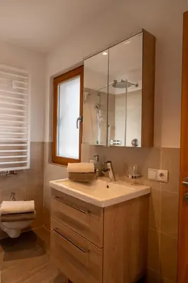 a bathroom with a sink and a toilet and a mirror at Schweinsteghof Urlaub auf dem Bauernhof in Sarntal