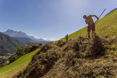 a man standing on top of a grassy hill at Frühaufhof in Barbiano