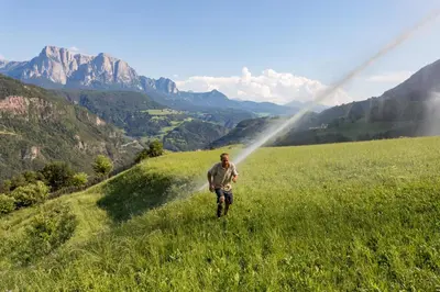 a man walking in a field with mountains in the background at Frühaufhof in Barbiano