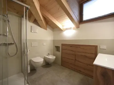 a bathroom with a toilet and a shower and a sink at Europa Mountain Apartments in Alleghe