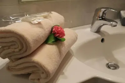 a towel sitting on top of a bathroom sink at Garni Panoramik in Ortisei