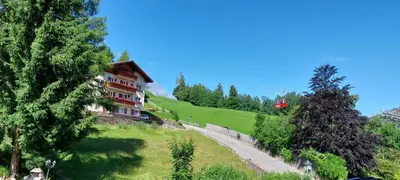 a building on the side of a hill with trees at Garni Panoramik in Ortisei