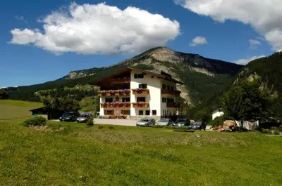 a building with cars parked in a field with a mountain at Villa Insam Apartment in Selva di Val Gardena