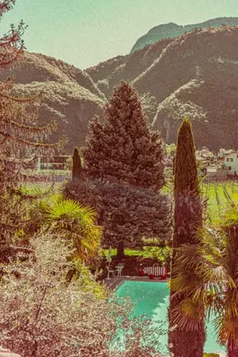 a painting of a garden with trees and a swimming pool at Amadeus Ora & Amore in Caldaro