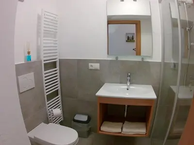 a bathroom with a sink and a toilet and a mirror at Haus Möltner - Apartment 