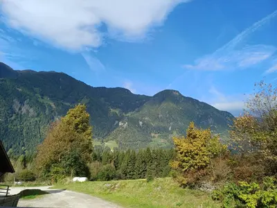 a view of a mountain range with trees and a road at Bio Felderhof in Villa Ottone