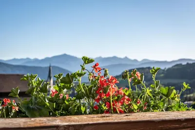 a garden with red flowers and mountains in the background at Hotel Wiedenhofer in Terento