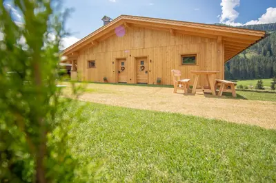 a cabin with a table and chairs in front of it at Ditterhof in Tesido