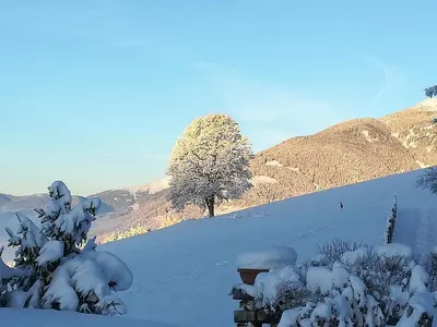 a snow covered slope with a tree and mountains at Hotel Amaten in Brunico