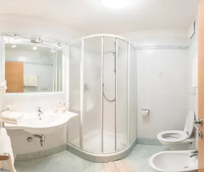 a bathroom with a shower and a sink and a toilet at Ciasa Mascotte in San Vigilio Di Marebbe