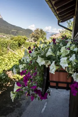 a bunch of flowers hanging from a building at Hotel Gasthof WASTL in Appiano sulla Strada del Vino