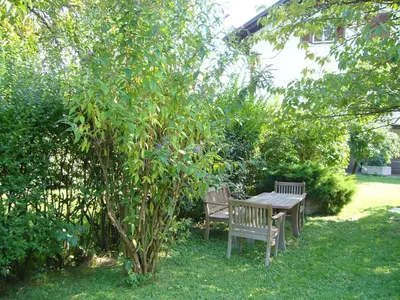a wooden table and bench under a tree at Hotel Gasthof WASTL in Appiano sulla Strada del Vino