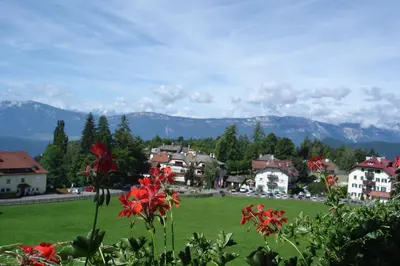 a green field with red flowers in a town at Hotel Latemar in Soprabolzano