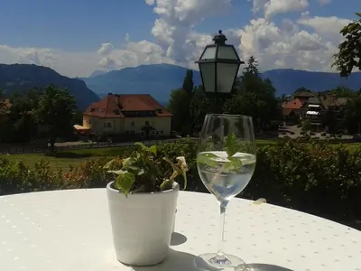 a glass of wine and a potted plant on a table at Hotel Latemar in Soprabolzano