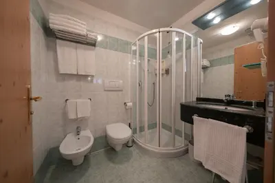 a bathroom with a shower and a toilet and a sink at Residence Kristall- Fiemme Holidays in Predazzo