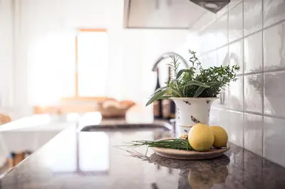 a kitchen counter with two lemons and a potted plant at Weingut Donà in Appiano sulla Strada del Vino