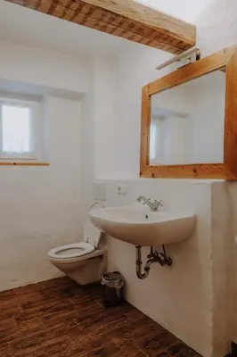 a bathroom with a sink and a toilet at Natur Apartments Riesen in San Lorenzo di Sebato