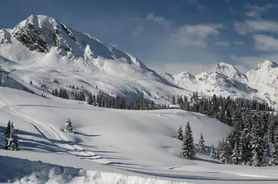 a snowy mountain with trees and snow covered mountains at Hotel Bergblick in Racines