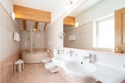 a bathroom with a sink and a toilet and a mirror at Hotel Laurin in Canazei
