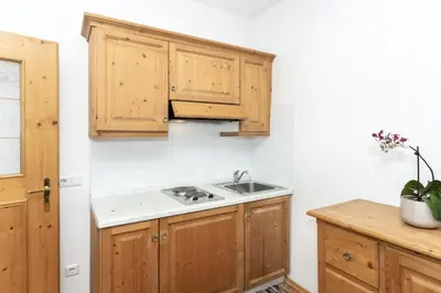 a kitchen with wooden cabinets and a sink at Appartements Eppanerhof in Appiano sulla Strada del Vino