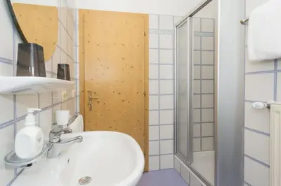 a bathroom with a sink and a shower at Appartements Eppanerhof in Appiano sulla Strada del Vino