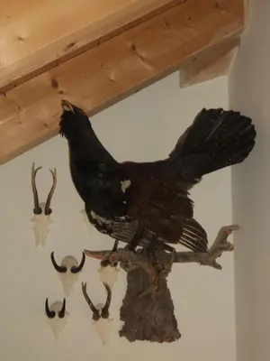 a statue of a rooster on a wall with antlers at Hotel Borest in Colfosco