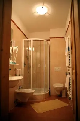 a bathroom with a shower and a toilet and a sink at Residence Riposo in Colfosco