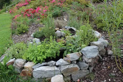 a garden with a pile of rocks and plants at Runcac in Badia