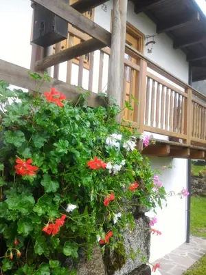 a flower pot on the side of a house with flowers at Casa Lausen in Canale San Bovo
