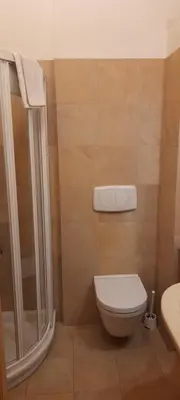 a bathroom with a toilet and a shower at Agriturismo Fattoria Meneguto Societa Agricola Semplice in Cortina dʼAmpezzo
