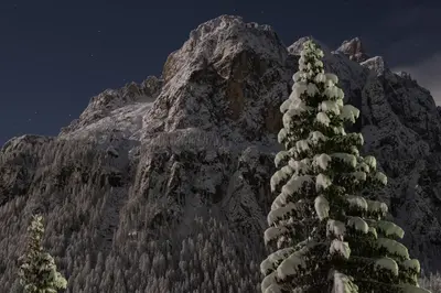 a snow covered mountain with a tree in front of it at Pensione Sellablick in Colfosco