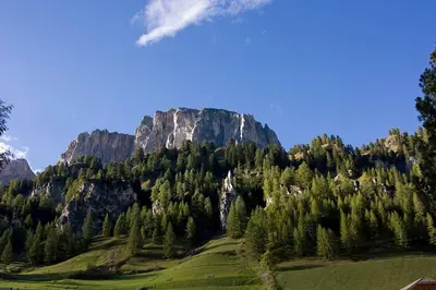 a mountain with trees in front of a green field at Pensione Sellablick in Colfosco