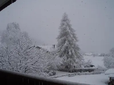 a snow covered christmas tree in a yard at Dillerhof in Laion