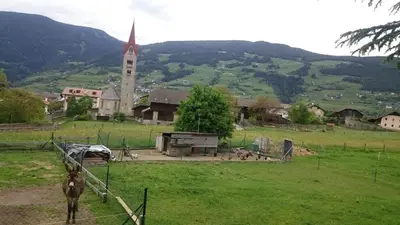 a horse standing in a field with a church at Dillerhof in Laion