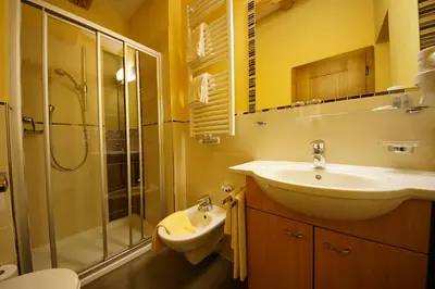 a bathroom with a sink and a shower at Garnì Tofana in Corvara in Badia