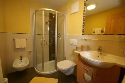 a bathroom with a shower and a toilet and a sink at Garnì Tofana in Corvara in Badia