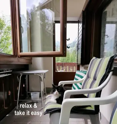 a black and white cat sitting on a chair at Apartments Fiordalisi in Colfosco