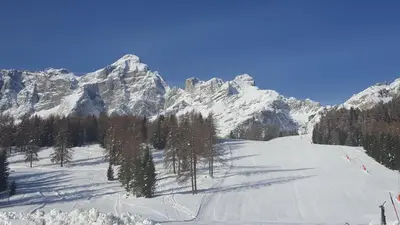 a snow covered mountain with trees on a ski slope at Casa Piva Dolomiti in Val di Zoldo
