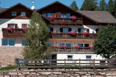 a house with flowers on the balconies of it at Reiterhof Edelweiss in San Genesio Atesino