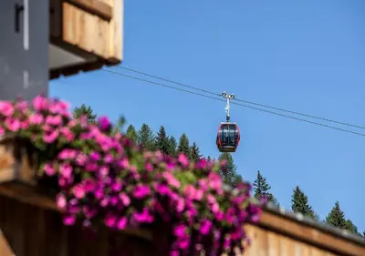 a cable car is flying over pink flowers at Garni Lanzinger in Selva di Val Gardena