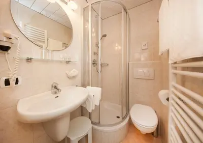 a bathroom with a sink and a shower and a toilet at Garni Lanzinger in Selva di Val Gardena