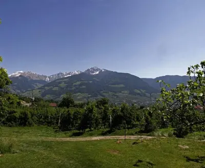 a green field with mountains in the background at Residence Streitlhof in Tirolo